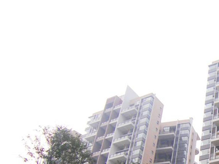 保利·公園198